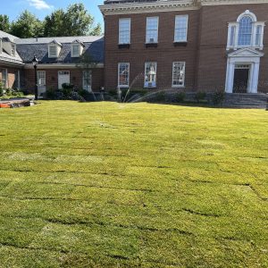 Lush green lawn installation in front of a brick building, showcasing landscaping services by Strathmeyer Landscape.
